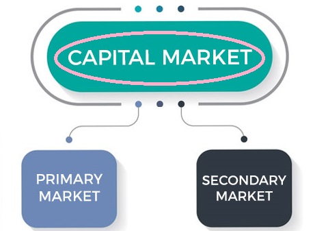 types of capital market